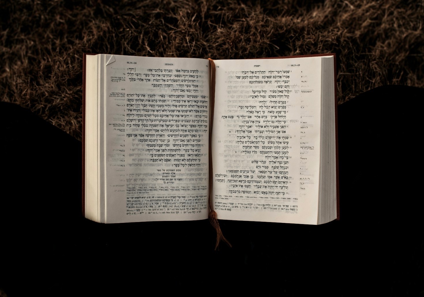 Cultivating a Love for Jewish Heritage in Students